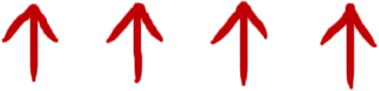 Tetrogen